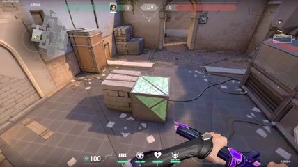 Effective Sage Wall