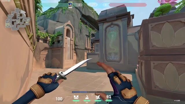 neon c long stun
