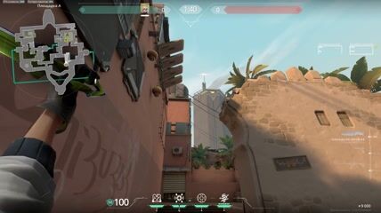 Postplant Net From A Lobby