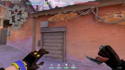 Molly combo for Corrode backside