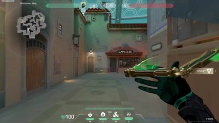 Viper oneway smoke haven B